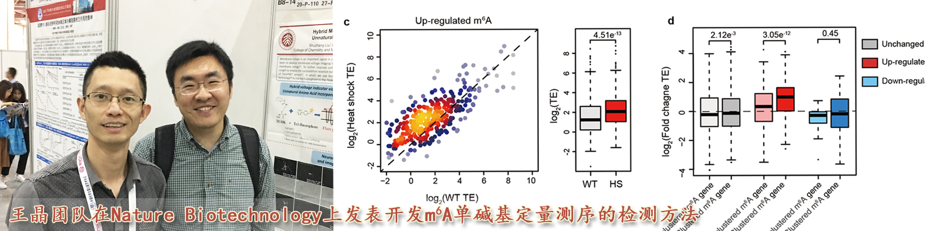 王晶团队开发m⁶A单碱基定量测序检测方法